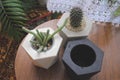 loft, ornamental plants, flower pots loft, concrete, concrete flower pots Royalty Free Stock Photo