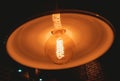 Loft pendant lamps with edison light bulbs