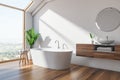 Loft Scandinavian bathroom corner, tub and sink Royalty Free Stock Photo