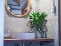 Loft style bathroom interior. Brass faucet with white sink basin, green leaves in ceramic vase and liquid hand wash soap bottle on