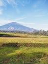 The lofty field of tilling mountains and mountains are shaded by bright mourning clouds