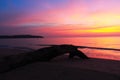 The log at beach with beautiful sunset