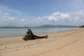 Log on the beach in southern Thailand