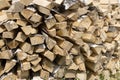 A log of birch firewood stacked in a pile. Firewood is harvested for the winter. Energy and fuel for fire and heating Royalty Free Stock Photo