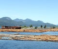 Log Booms, Sayward, British Columbia Royalty Free Stock Photo