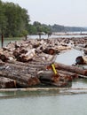 Log booms waiting for transfer