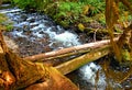 Log Bridge