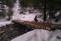Log bridge over icy water Royalty Free Stock Photo