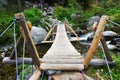 Log bridge over a mountain stream in Retezat Mountains, Romania. Royalty Free Stock Photo