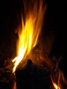 Log burning on fire at night Royalty Free Stock Photo