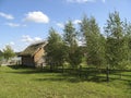 Log cabin, fence of poles and young birch trees in summer Royalty Free Stock Photo