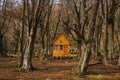 Log cabin in forest tierra del fuego patagonia argentina Royalty Free Stock Photo