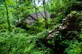 Log cabin in forest Royalty Free Stock Photo