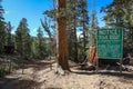 Log Cabin Gold Mine property sign Royalty Free Stock Photo