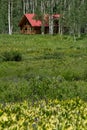 Log cabin home in mountain forest Royalty Free Stock Photo