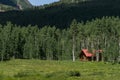 Log cabin home in mountain forest Royalty Free Stock Photo