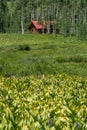 Log cabin home in mountain forest Royalty Free Stock Photo