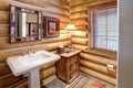 A modern log cabin powder room Royalty Free Stock Photo