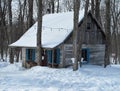 Log cabin in a treed area with sap buckets