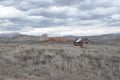 Log cabin Utah red rock formations Royalty Free Stock Photo