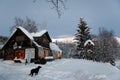 Log Cabin in the wilds with black dog Royalty Free Stock Photo