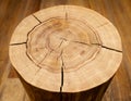 Log core against a wooden floor. Angle view.