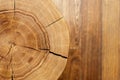 Log core against a wooden floor. Top view. Closeup. Background series.