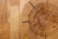 Log core against a wooden floor. Top view. Closeup. Background series.