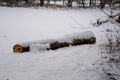 Log covered in snow in the winter forest Royalty Free Stock Photo