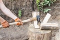 Log cutting process Royalty Free Stock Photo