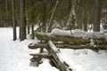 A Snow Covered Log Fence in a Snowy Forest Royalty Free Stock Photo