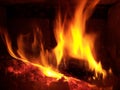 Log on the Fire Royalty Free Stock Photo
