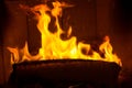 Log On Fire Burning Billets In Fireplace