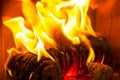 Log On Fire Burning Billets In Fireplace