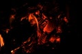 Log On Fire Burning Billets In Fireplace.Burning Woods Open Fire Background.selective Focus.Barbecue Flaming Charcoal