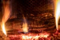 Log In Fire In A Fireplace Closeup