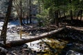 Log Footbridge in Pocono Mountains