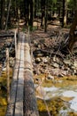 Log Footbridge in Pocono Mountains Forest Royalty Free Stock Photo