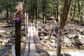 Log Footbridge With Trail Marker in Pocono Mountains