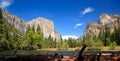 Log framing Yosemite Valley Royalty Free Stock Photo