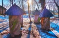 The log hives on the snowy sunny forest glade, Polissya region, Pyrohiv Skansen, Kyiv, Ukraine