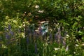 Log hut in the thicket of blooming lupine Royalty Free Stock Photo