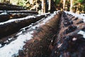 Snow-covered Log in Forest Landscape Royalty Free Stock Photo