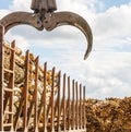 Log loader or forestry machine loads a log truck Royalty Free Stock Photo