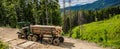 A log loader or forestry machine loads a log truck at the site landing with the driver securing the load. Loading logs Royalty Free Stock Photo