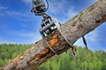 Log Loader Lifting Timber Log Royalty Free Stock Photo