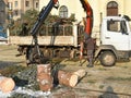 Log loader machinery at work Royalty Free Stock Photo