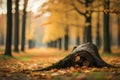 Log lying on the ground with leaves and trees