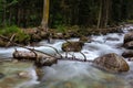 Log over the stormy Mountain River in rocky valley in the wood