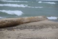 Log Overlooking Lake Michigan Royalty Free Stock Photo